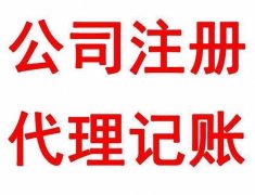 公司进行注册为小规模和一般企业纳税人哪个好