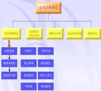 什么组织形式注册的公司？